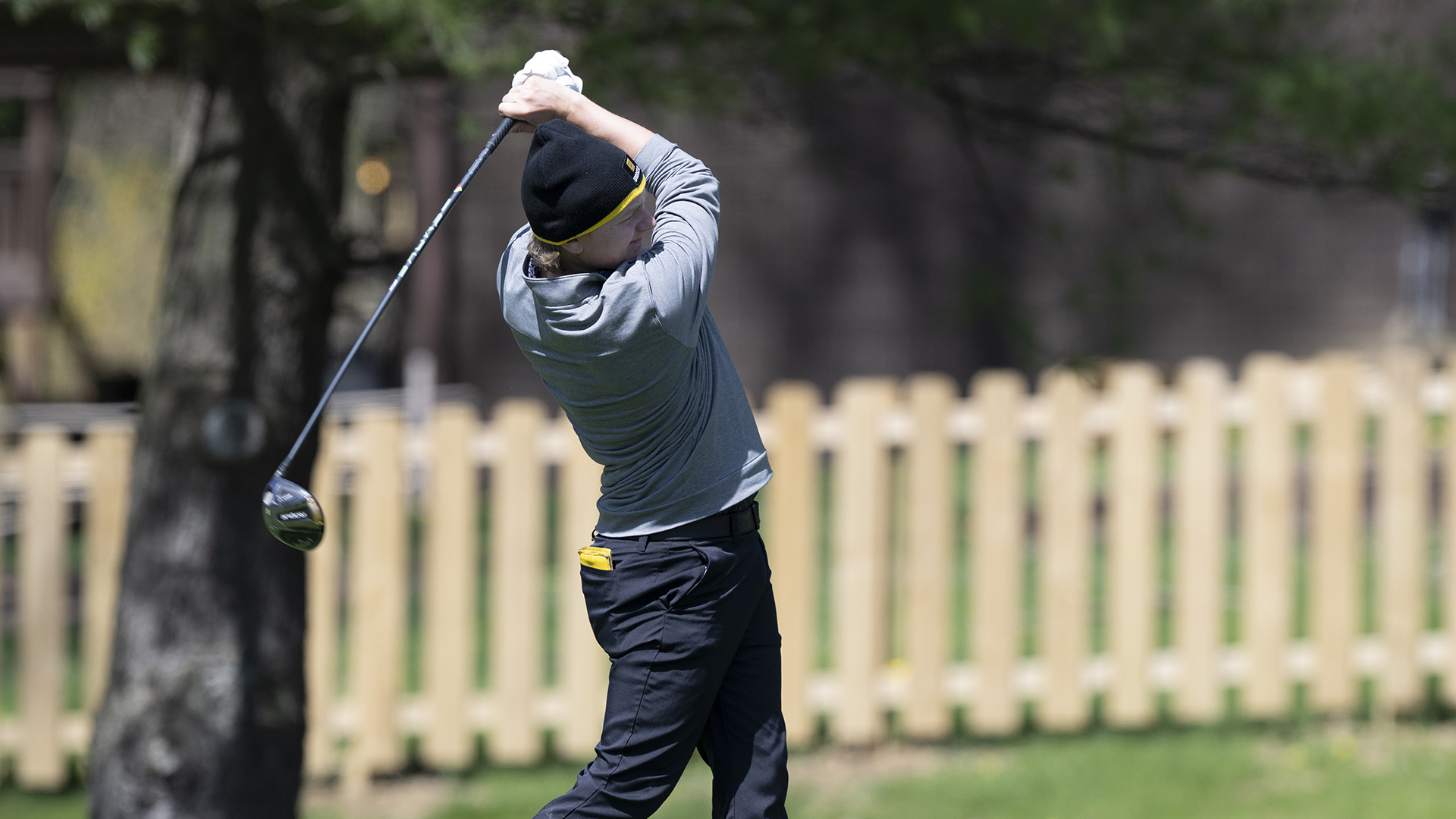 Andrew Carey, Wooster Golf