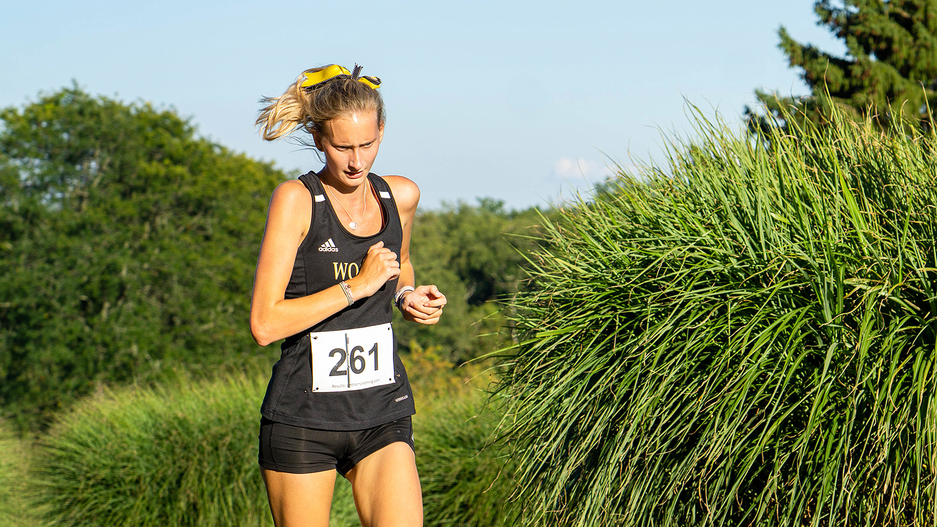 Elise Greenwald, Wooster Cross Country