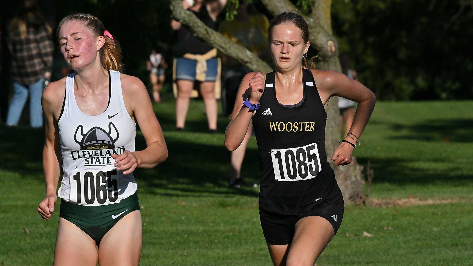 Dylan Kretchmar, Wooster Cross Country