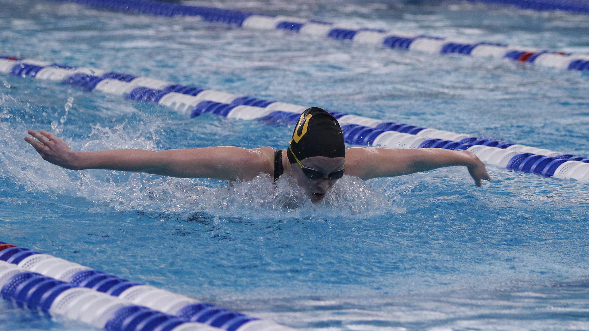 Ollie Bream, Wooster Swimming & Diving (Photo by Dani Johnson, NCAC)