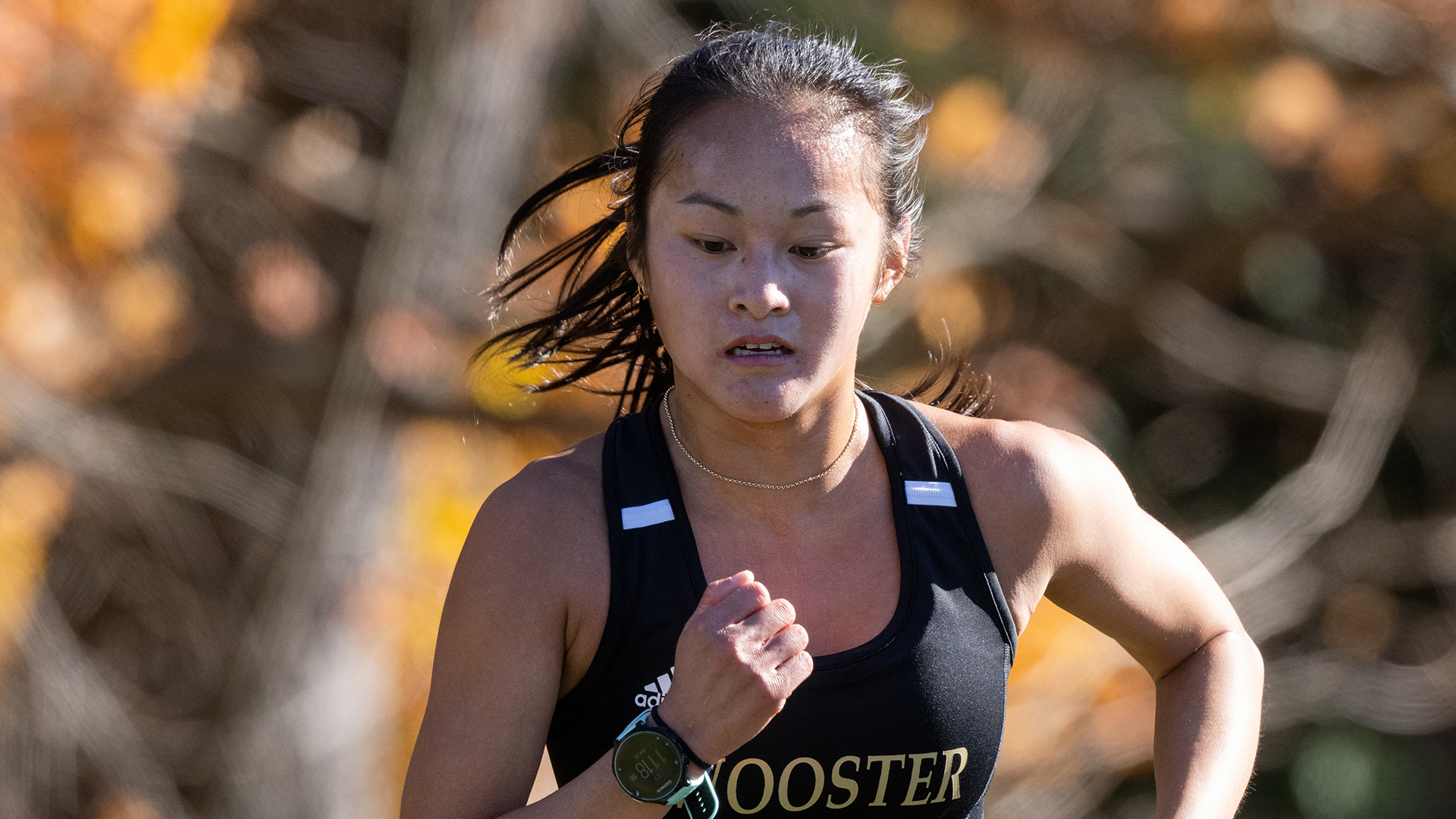 Isabelle Hoover, Wooster cross country