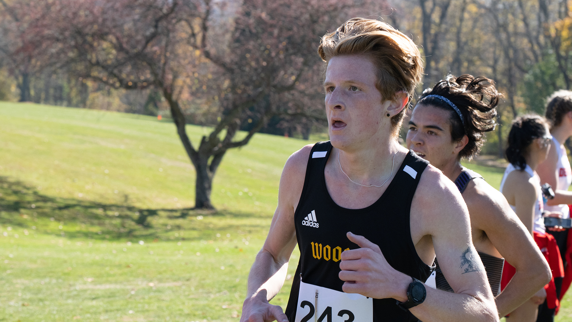 Will Callender, Wooster Cross Country