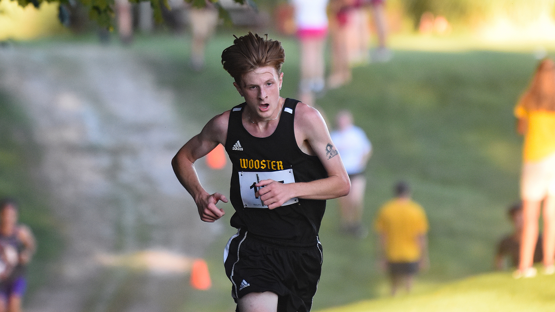 Will Callender, Wooster cross country