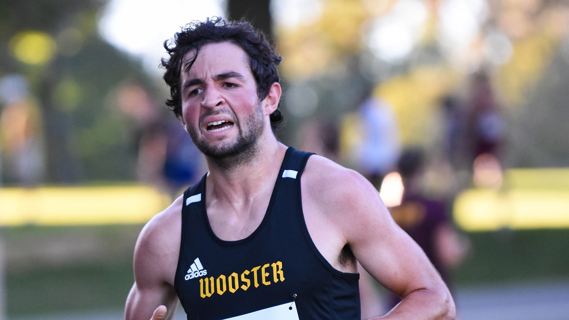 Drew Robertson, Wooster cross country